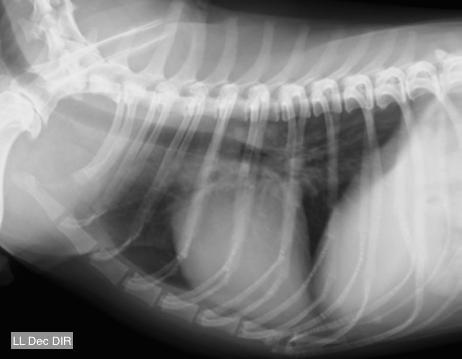 Tórax laterolateral