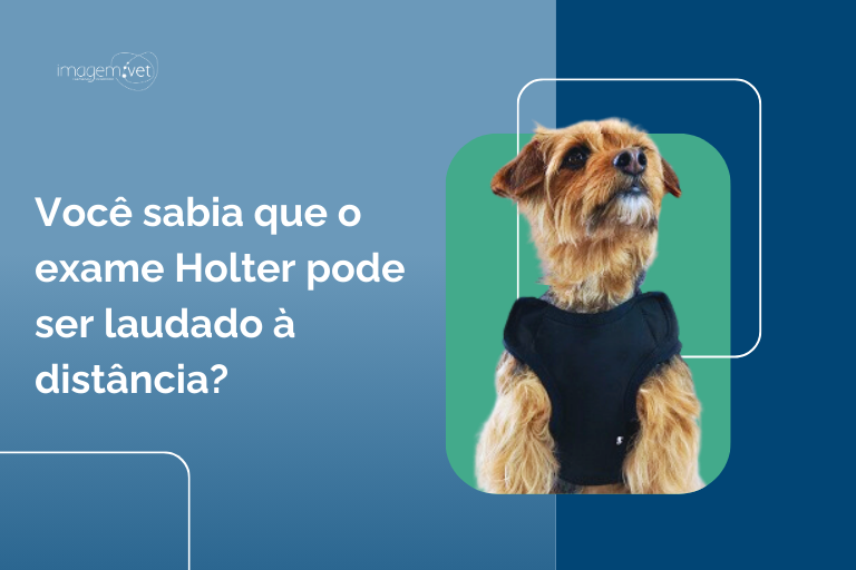 O que é teleholter?