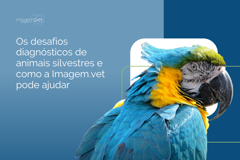 Os desafios diagnósticos de animais silvestres e como a Imagem.vet pode ajudar