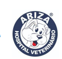 Ariza