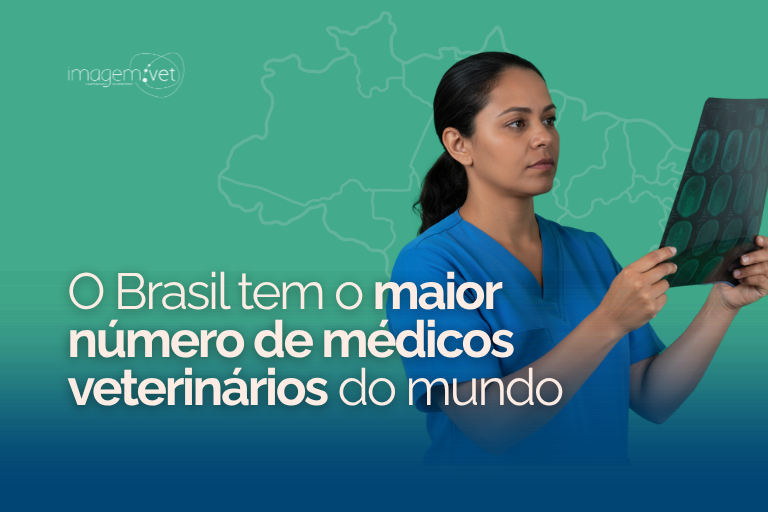 O Brasil tem o maior número de médicos veterinários do mundo