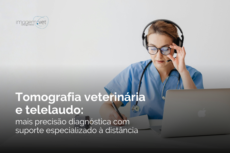 Tomografia veterinária e telelaudo: mais precisão diagnóstica com suporte especializado à distância