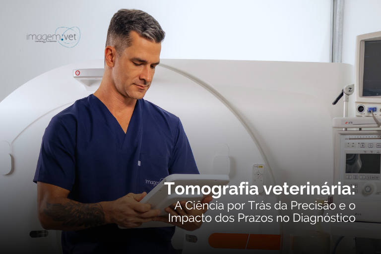 Tomografia Veterinária: A Ciência por Trás da Precisão e o Impacto dos Prazos no Diagnóstico